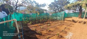 Holistic Village Development in Tribal and Non Tribal Communities with Maharashtra Foundation, USA RSCD Governance (1)