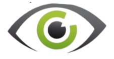 Vision RSCD Governance