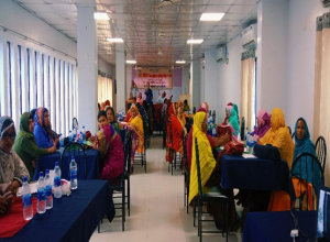 WALL (Women as Local Legislators) Multilevel Training project with Commonwealth Local Governance forum RSCD Governance (6)